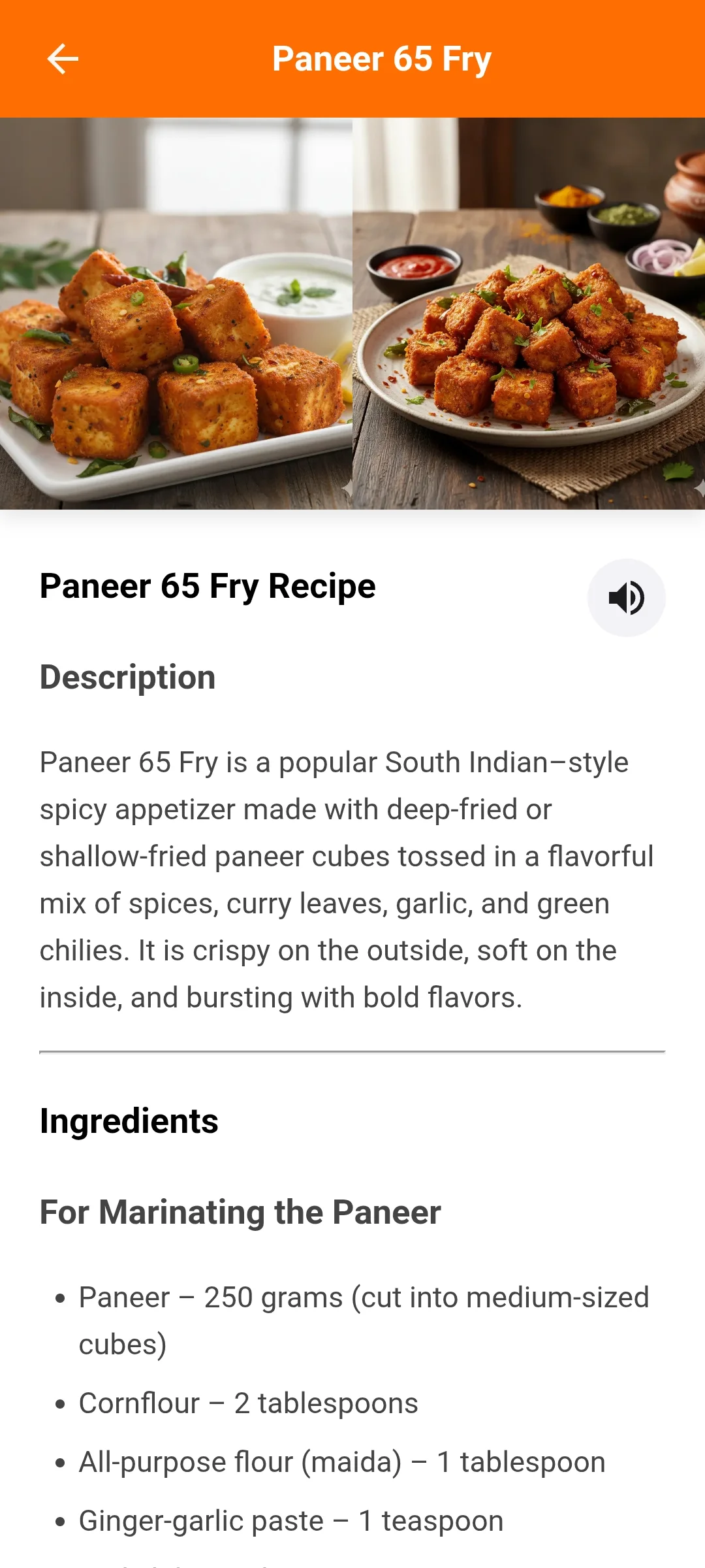 Food Recipes Screen 3