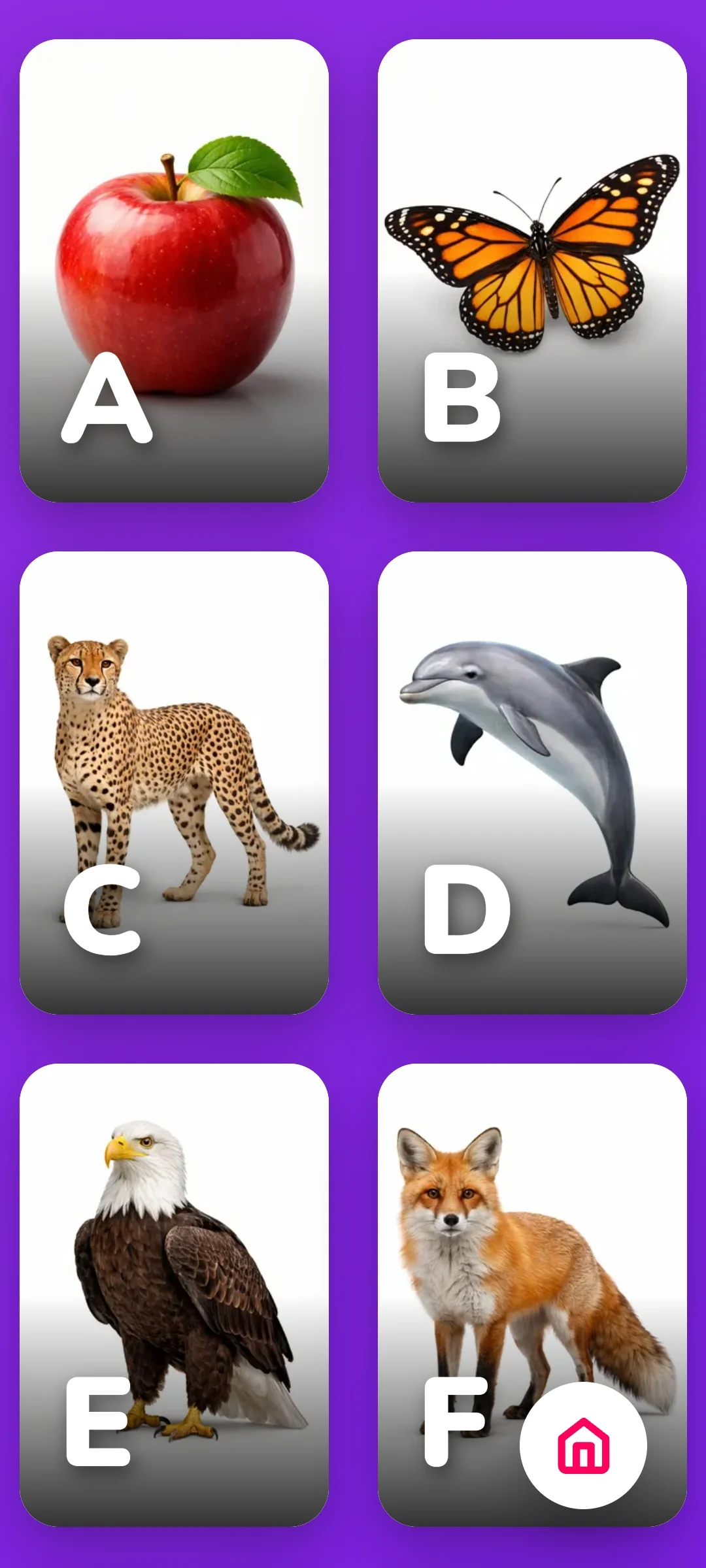Kids Education Screen 8
